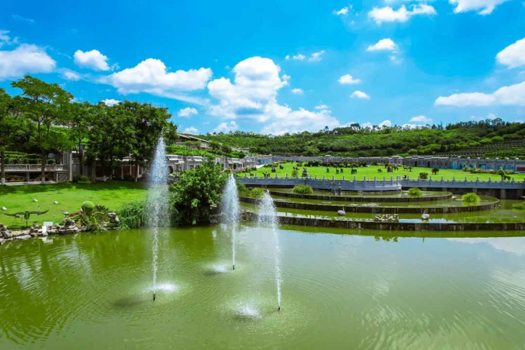 叠水莲池实景